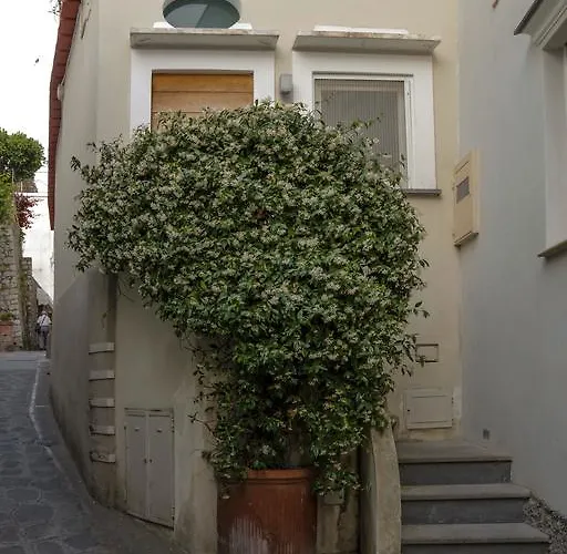 Casa Piccola By 5 Senses קאפרי